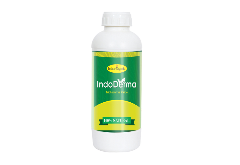 IndoDerma