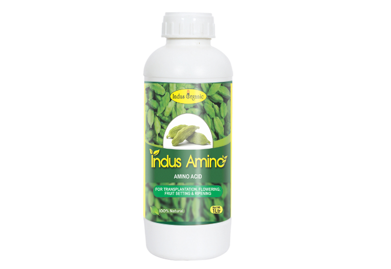 Indus Amino