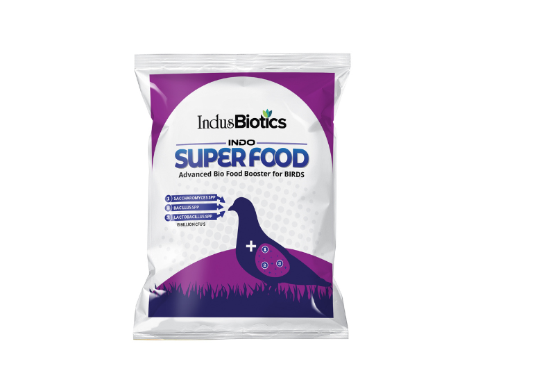 Indo Super Food for Birds